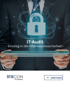 IT-Sicherheitsprüfung